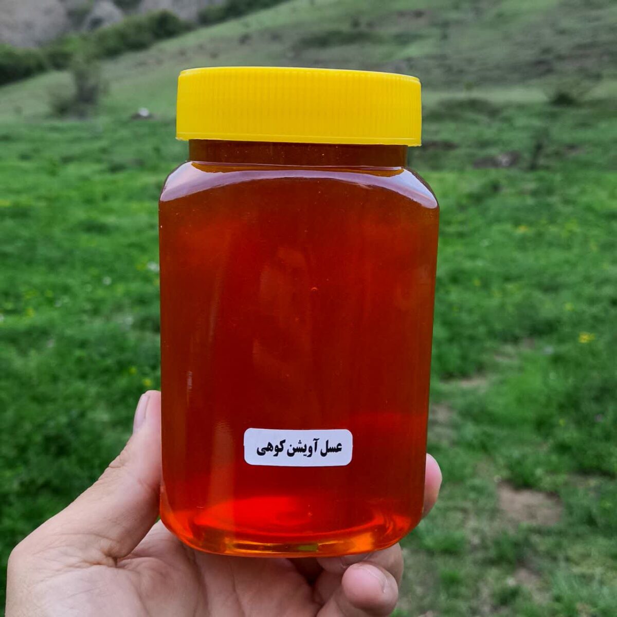 عسل آویشن