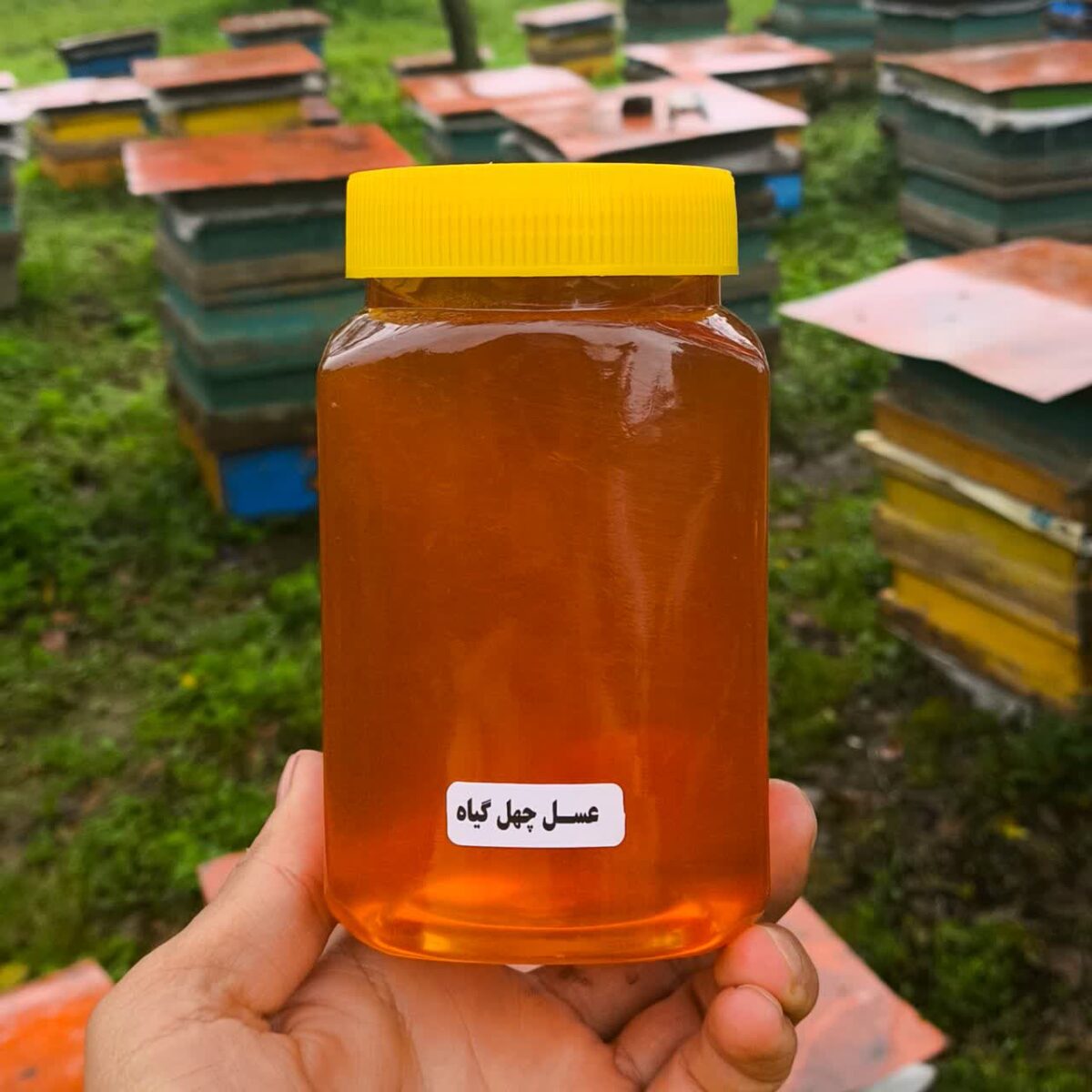 عسل چهل گیاه
